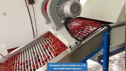 cherry tomato washing drying grading line, tomato processing line