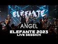 Angel ELEFANTE 2023 (Live Session)