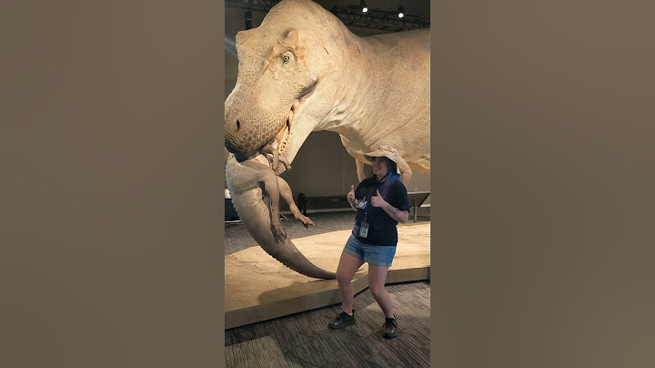 The most complete T. rex fossil ever found was #Unearthed 34 years ago!