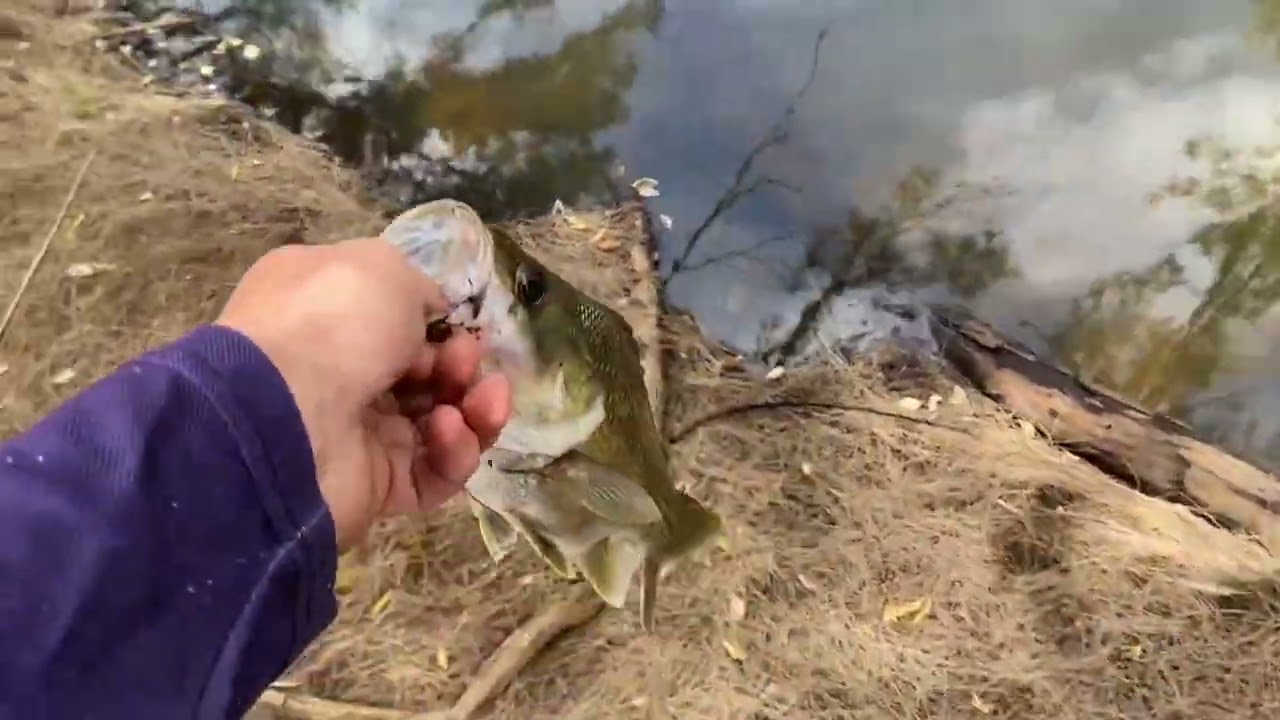 Hunter valley bass fishing