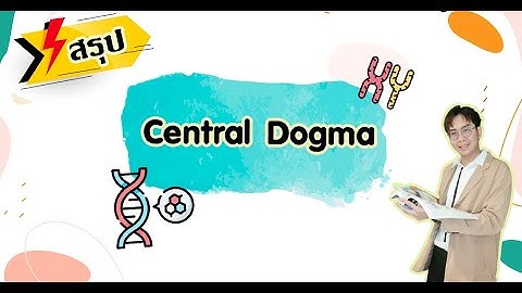 Central dogma of molecular biology ม อะไร บ าง