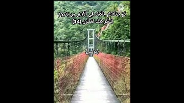 تلاوة عطرة للقارئ معاذ دويك🍃quran#