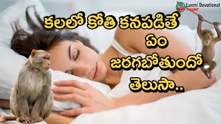 Kalalo Kothi Kanipisthe Monkey In Dreams Laxmi Devotional Kalalu Vati Phalithalu