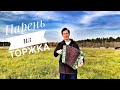 ПЕСЕННЫЙ СТРИМ