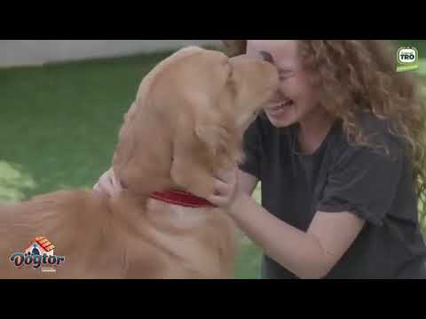 Aprender a convivir con mascotas y niños