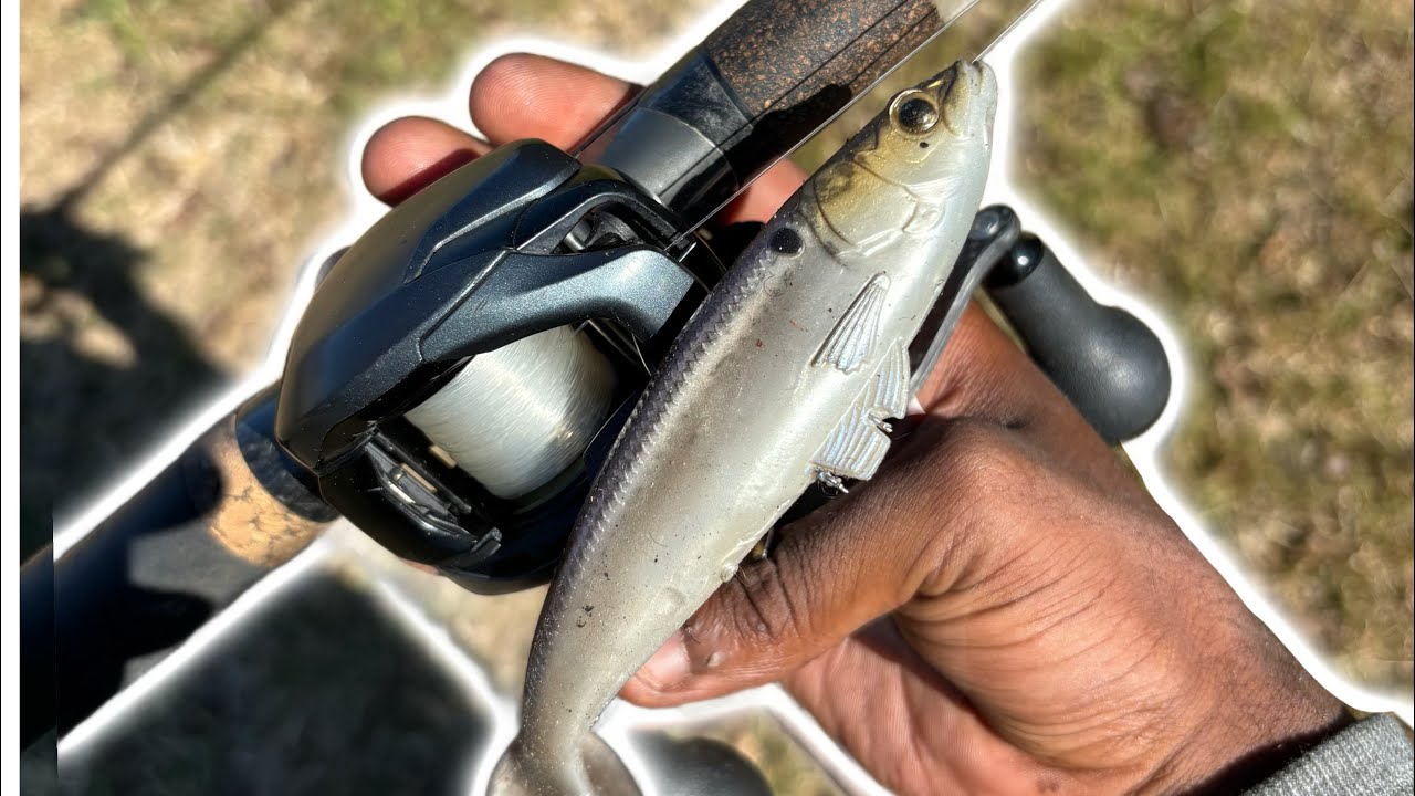 Slow rolling zman swag LT for BIG BASS !!!