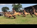 Danse traditionnelle gabon 