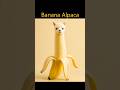 Banana Alpaca🦙 #ai #aigenerated #alpaca #aianimal #banana