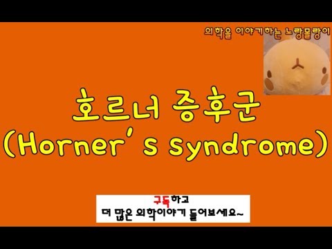 호너 증후군(Horner’s syndrome, 호르너 증후군) 원리이해