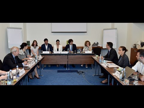 ირაკლი კობახიძის შეხვედრა NDI - ს საერთაშორისო სადამკვირვებლო დელეგაციასთან