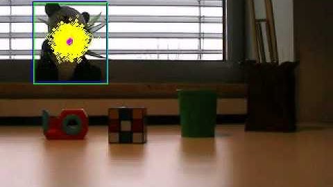 Video Tracking with an Adaptive Particle Filter (Panda)