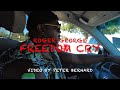 Roger george  freedom cry  2022 release