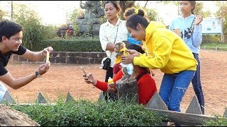 Baby Monkey Dodo Very Surprising To Take Photo With Visitors Baby Monkey Dodo Very Surprising To Take Photo With Visitors