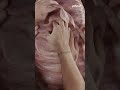 Watch Heidi Klum transform into a worm for Halloween | #shorts #yahooaustralia