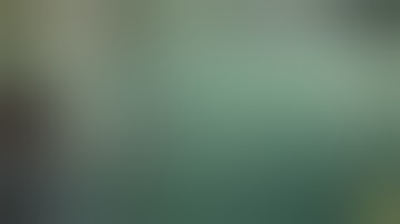 Shadow of the Colossus (6) Poke And Tickle