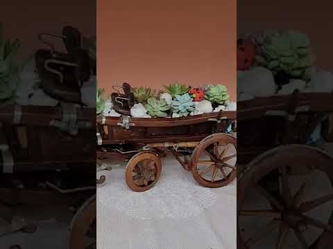 carroça de suculentas