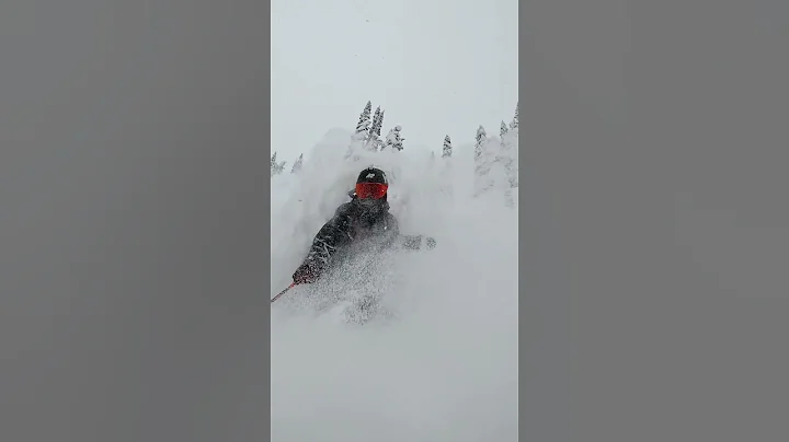 Powder Shot Compilation | Warren Miller's "Daymake...