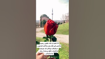 الحمد لله رب العالمين - تلاوة مليئة بالخشوع  والطمأنينة - أجمل تلاوات الشيخ ماهر المعيقلي - راحة