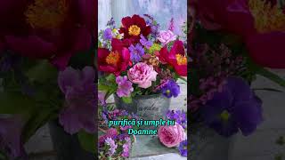 Iertare și eliberare. Exercițiu profund