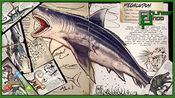 Ark Basics Megalodon - EVERYTHING YOU NEED TO KNOW