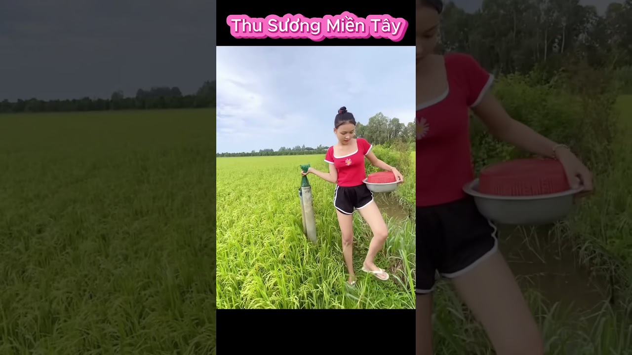 Please support me by subscribing to my channel