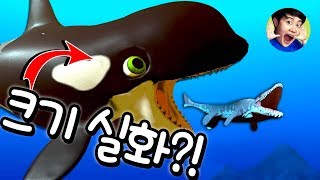 바다지존 범고래!! 니 내 아이 무섭니??  피드 앤 그로우 피쉬(Feed and grow fish)  겜브링(GGAMBRING)