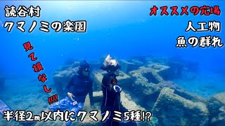 ここ知ってますか？読谷村の超オススメポイント!!!!/沖縄の海でスキンダイビング＆シュノーケル【4K】