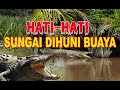 4 CIRI SUNGAI DIHUNI BANYAK BUAYA MUARA GANAS DAN BERBAHAYA...