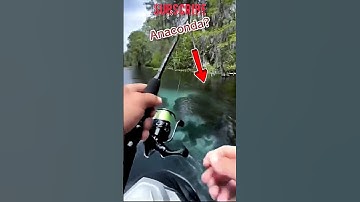 Fishing adventure in the Amazon River, Suddenly..? #scary #fishing #anaconda  #river
