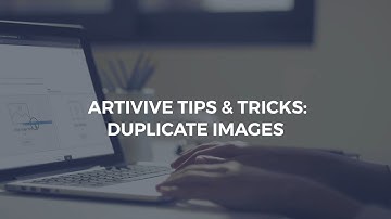 Artivive Tips And Tricks: Duplicate Images