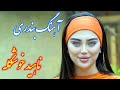 Persian Music آهنگ شاد بندری ناهید خوشگله با نوازندگی فرشید حاضری 