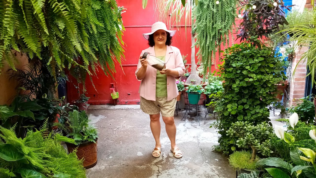 POTASIO MOLIDO de Rápida Absorción con EXCELENTES RESULTADOS