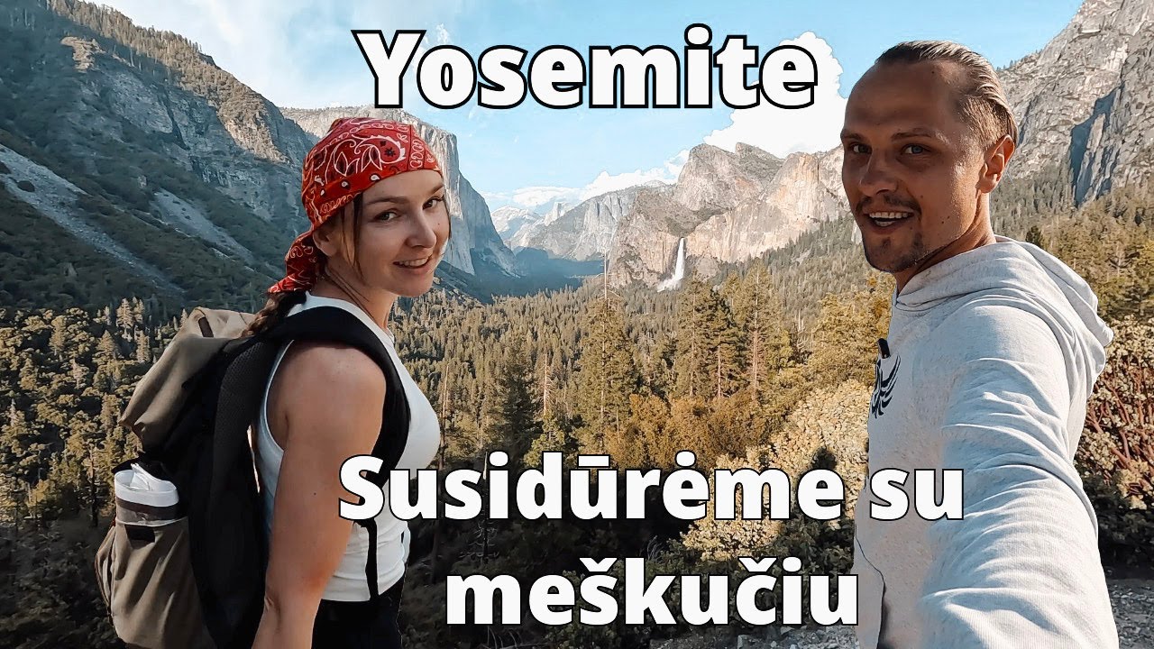 USA: Yosemite nacionalinis parkas- žingsnis iki bedugnės ir meškiukas kelyje.