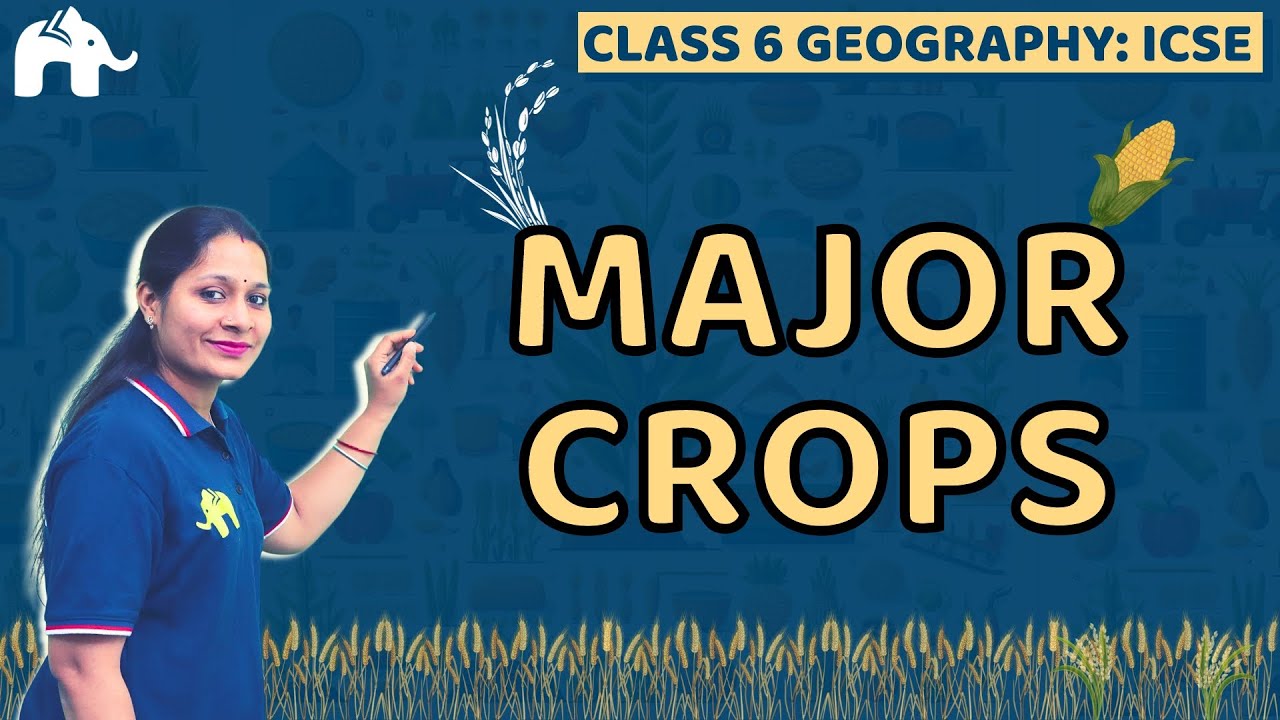 major-crops-class-6-icse-geography-selina-chapter-7-sst-social