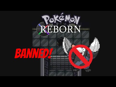 The REAL reason why Drilbur was removed from Pokémon Reborn