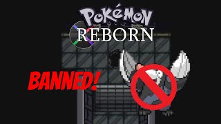 The REAL reason why Drilbur was removed from Pokémon Reborn