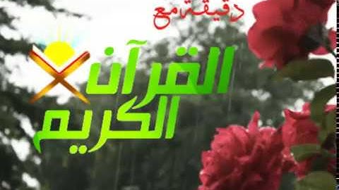 صباح الخير  دقيقة مع القران  تلاوة القارئ الشيخ  ماهر المعيقلي