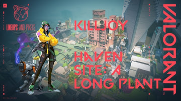Valorant Killjoy Lineups Haven from A Link to A Long Facing Plant