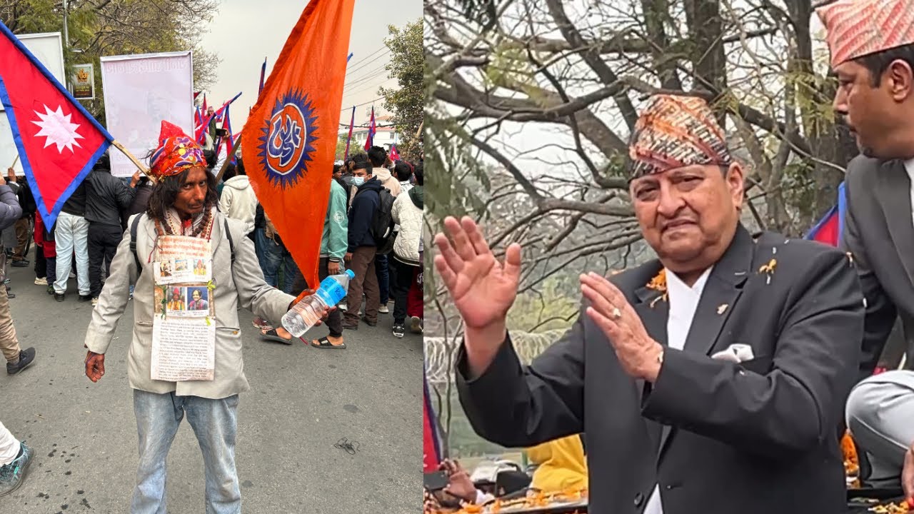 king 🤴 is the back(किंग 🤴इज द बेक) @Mr.Whavlog