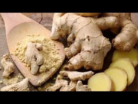 Anal dumba musobaqasi