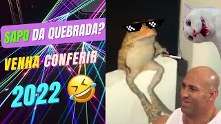 Sapo Malokona- melhor compilado de memes