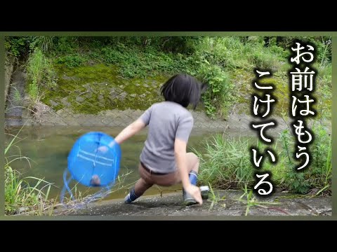 お前はもうこけている…box版【未公開シーン有り】