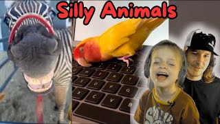 FUNNIEST FARM ANIMALS | Funny animals being funny animals!