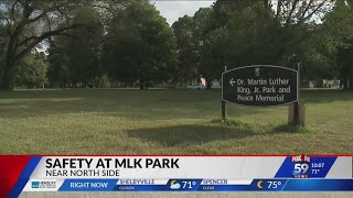 Additional surveillance cameras could be coming to some Indy parks
