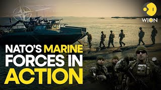 NATO’s Marine forces in action: On land and sea | World English News | NATO Live | WION Live