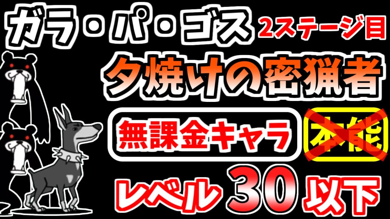 にゃんこ 夕焼け の 密猟 者