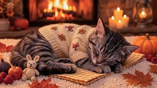 12 Hours Cat Calming Music for Soft Dreams 🎵 Soothing Music For Cats 🔥 Glowing Fireplace Logs screenshot 4