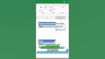 EXCEL Listas Desplegables Dependientes - Parte 2
