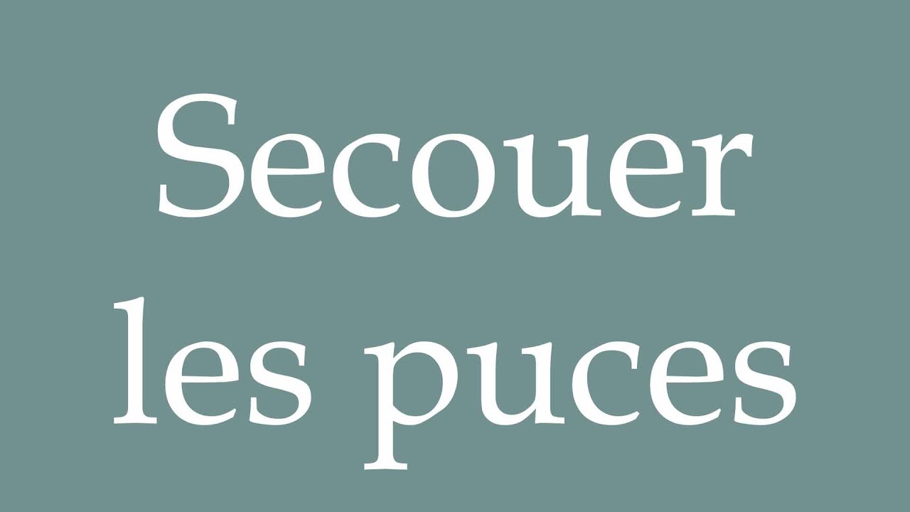 How to Pronounce ''Secouer les puces'' (Shake the fleas) Correctly in French