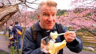 Street Foods & Cherry Blossom Festival - Eric Meal Time #856